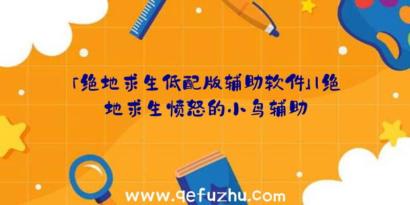 「绝地求生低配版辅助软件」|绝地求生愤怒的小鸟辅助